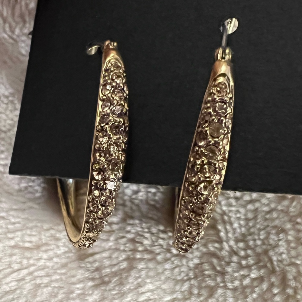 Gold Tone Hoop Earrings